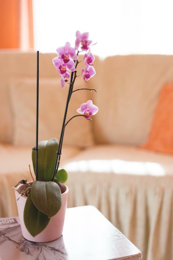 Apartment Dean أوماغ المظهر الخارجي الصورة